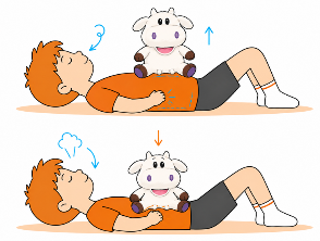 Ilustraci&oacute;n de variantes de respiraci&oacute;n abdominal